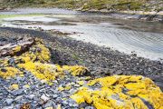 Foto: Tierra del Fuego. Gateway to the Icy Continent